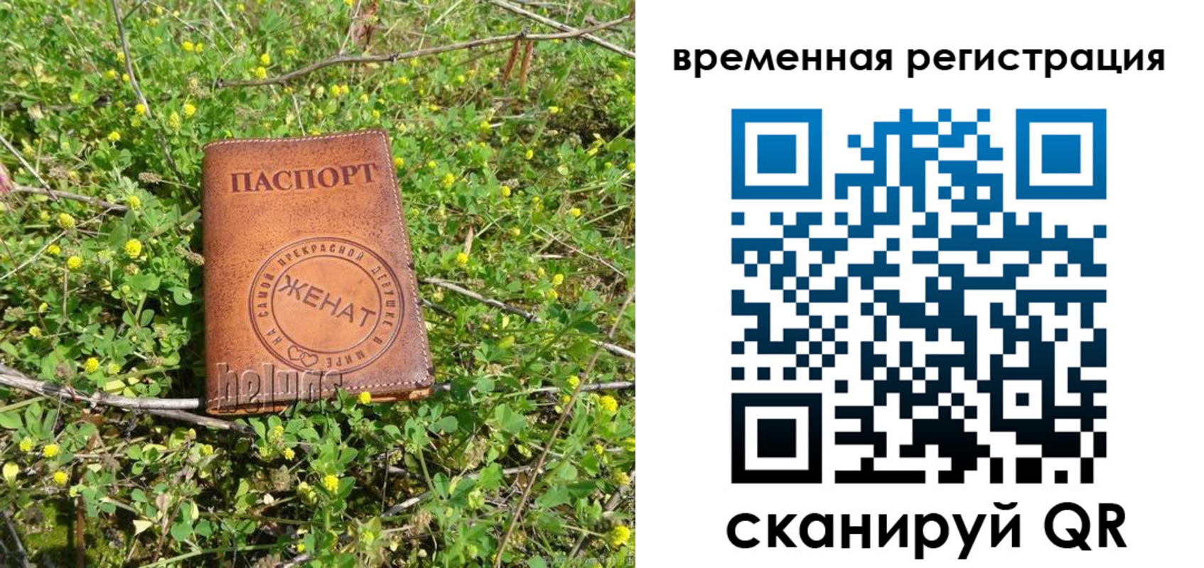 прописка регистрация в Кудрово
